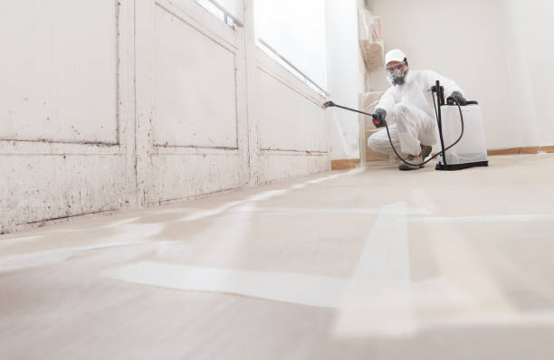 24/7 Emergency Black Mold Remediation experts in Oakton, VA