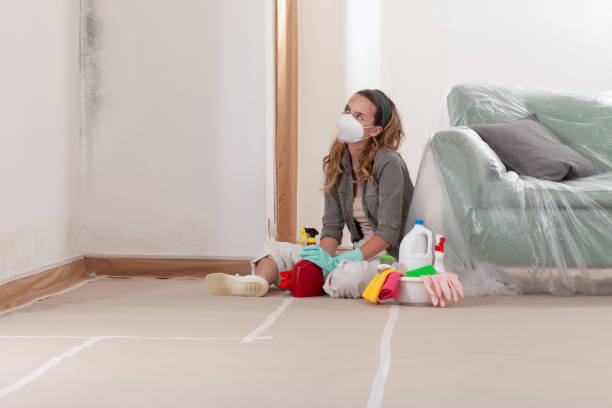 Reliable Black Mold Remediation contractor in Oakton, VA by 24 Hour Mold Removal